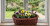 1153-m_rt_03.png